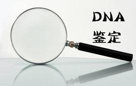 玉林dna亲子鉴定要提供什么