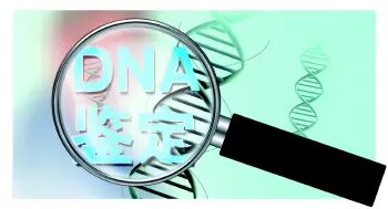 玉林哪家医院可以做DNA亲子鉴定